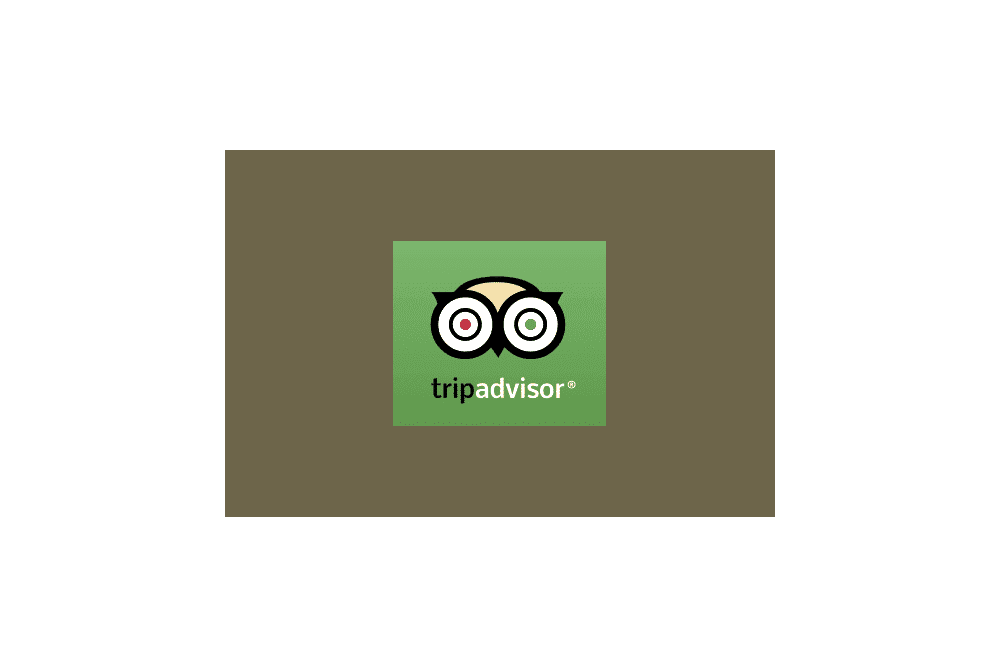 Tripadvisor logo featuring an owl design on a green background.